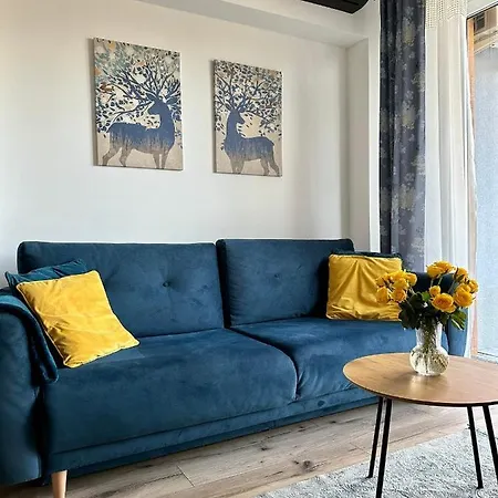 Flow 8 By Housine * Zator